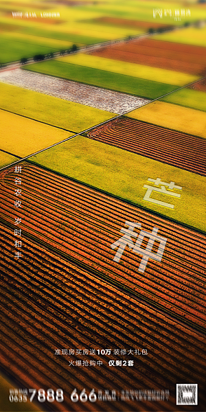 地产二十四节气芒种简约大气海报
