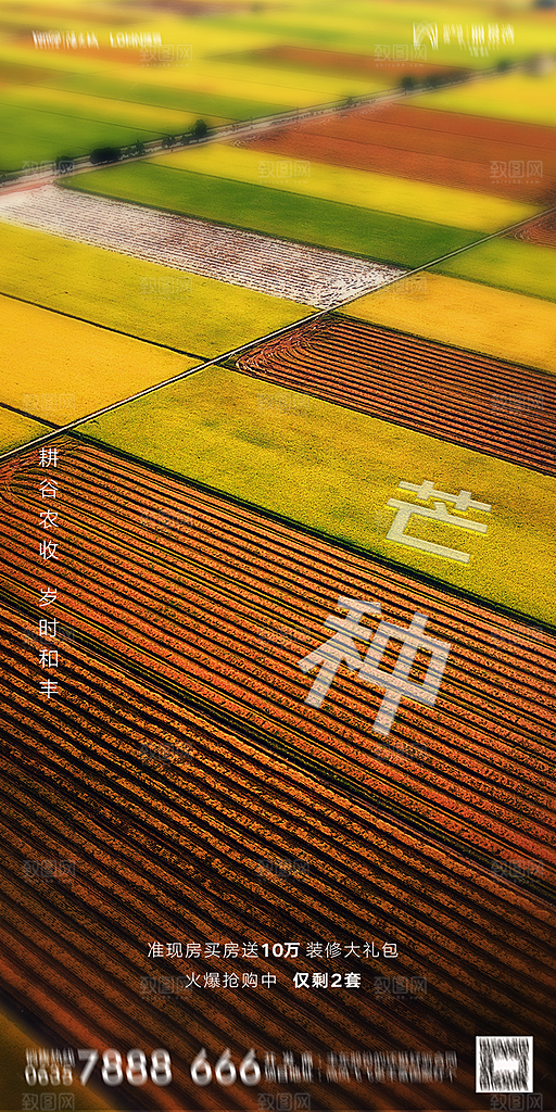 地产二十四节气芒种简约大气海报