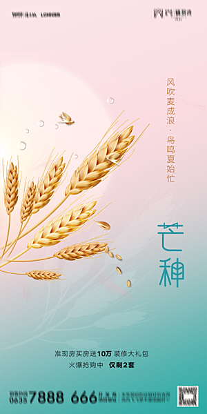 地产二十四节气芒种简约大气海报