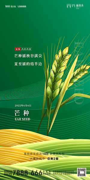 地产二十四节气芒种简约大气海报
