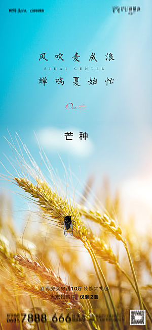 地产二十四节气芒种简约大气海报