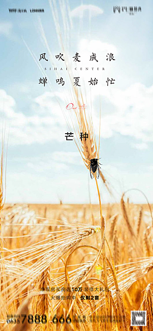 地产二十四节气芒种简约大气海报