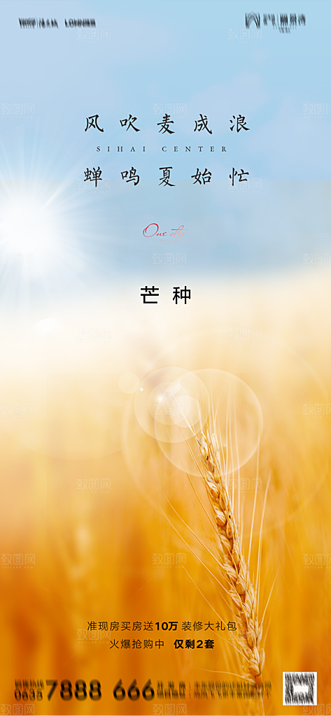 地产二十四节气芒种简约大气海报