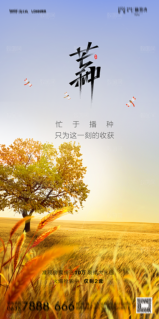 地产二十四节气芒种简约大气海报