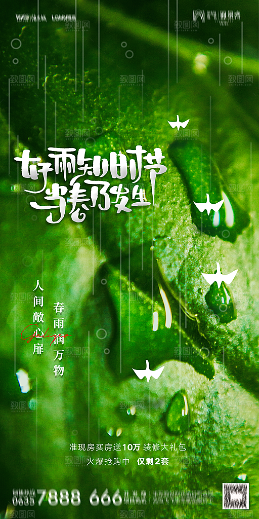 地产二十四节气雨水简约大气海报