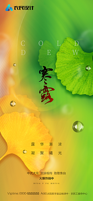 地产二十四节气寒露简约大气海报