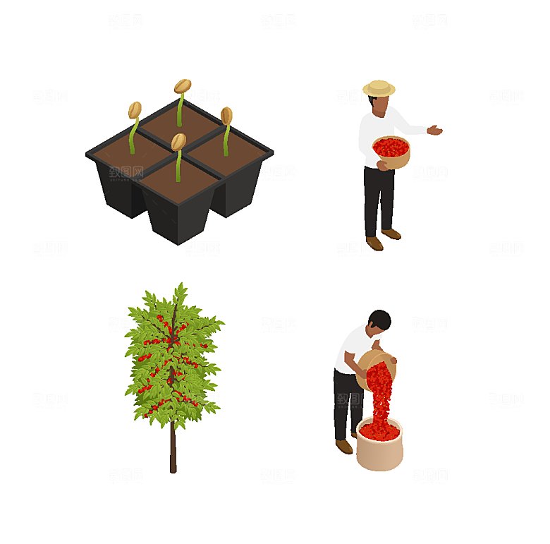 咖啡豆种植采摘等距立体图标