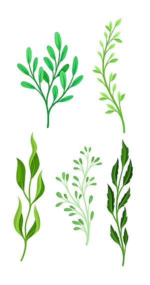 手绘水彩绿植树叶矢量元素
