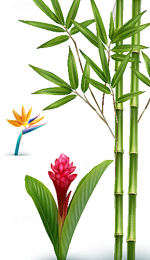 手绘卡通竹子绿植花卉矢量元素