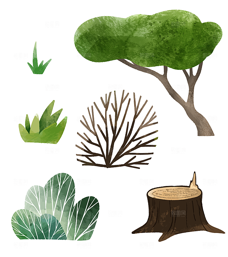 手绘水彩绿植树叶矢量元素