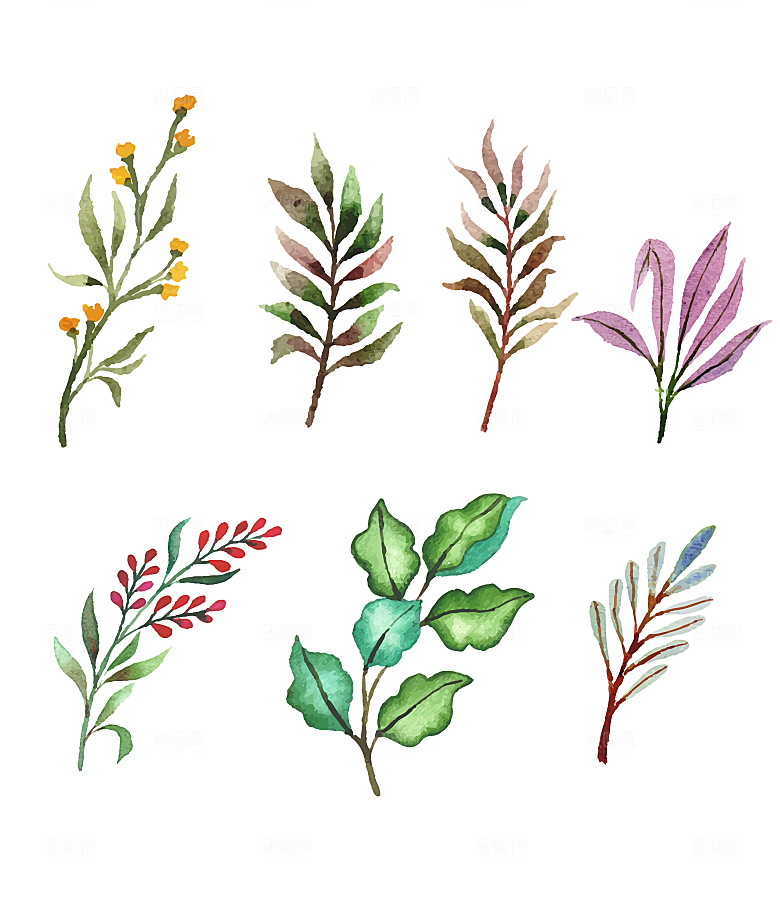 手绘绿植树叶矢量元素