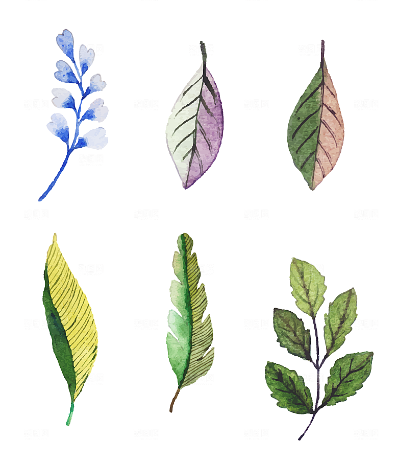手绘绿植树叶矢量元素