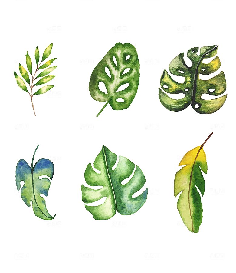 手绘绿植树叶矢量元素