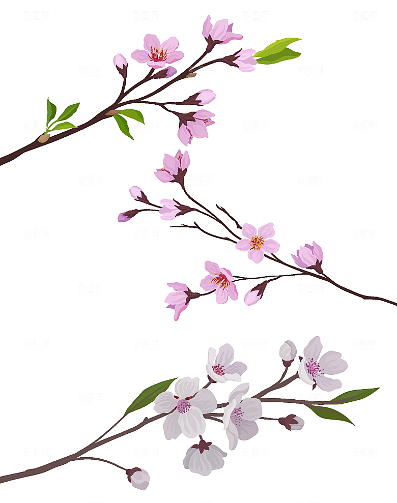 手绘樱花花卉矢量元素