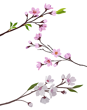 手绘樱花花卉矢量元素