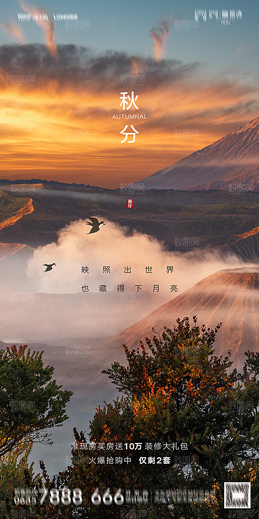 地产二十四节气秋分简约大气海报