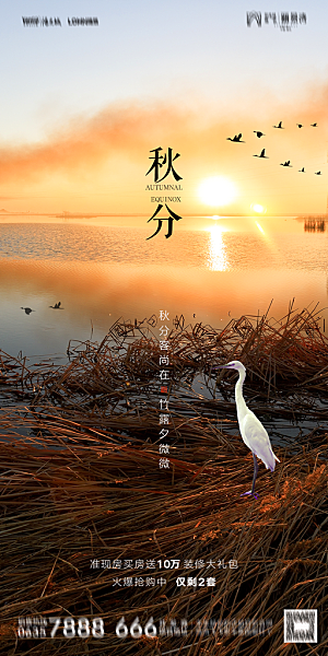 地产二十四节气秋分简约大气海报