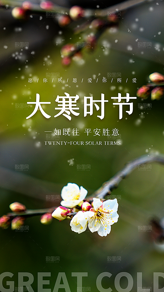 中国传统节气大寒海报