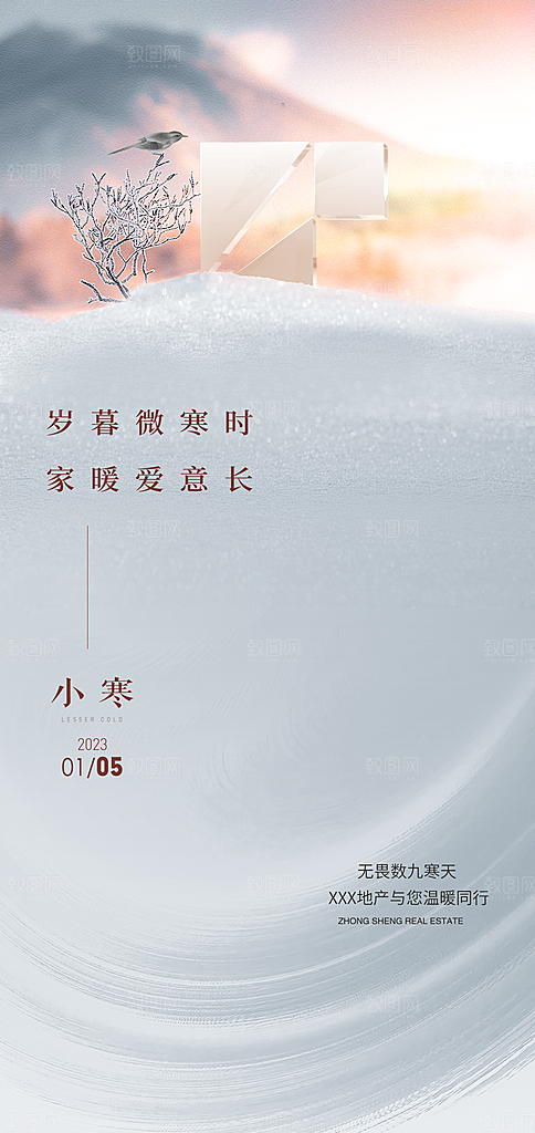 中国传统节气小寒简约中国风手机海报