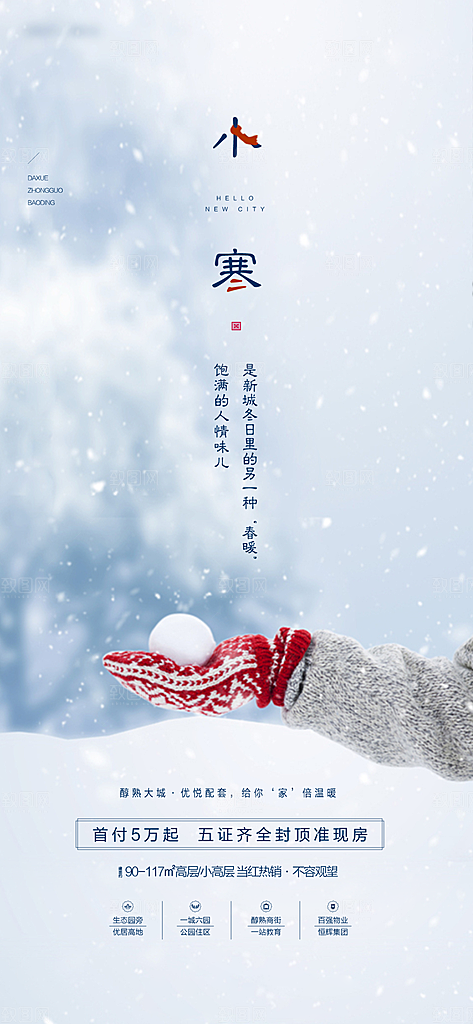中国传统节气小寒简约中国风手机海报