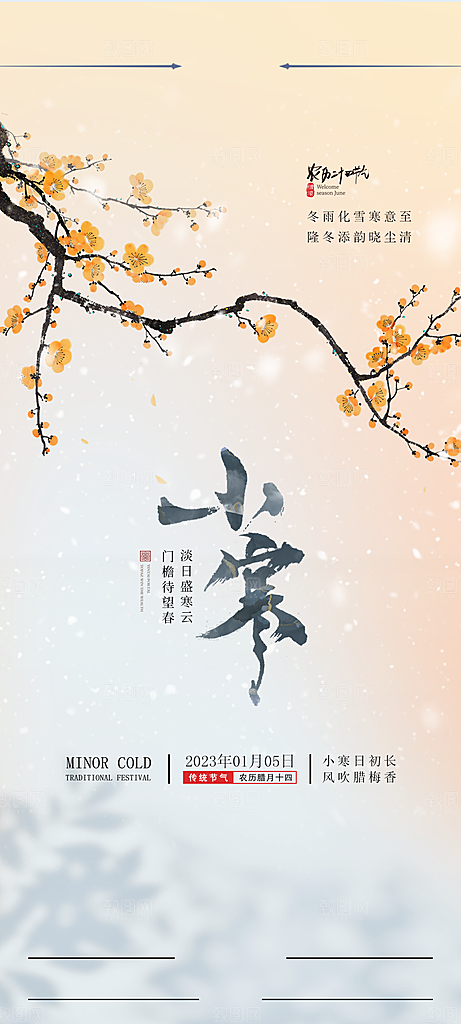 中国传统节气小寒简约中国风手机海报