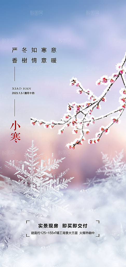 中国传统节气小寒简约中国风手机海报