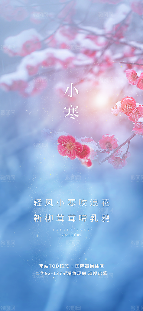 中国传统节气小寒简约中国风手机海报