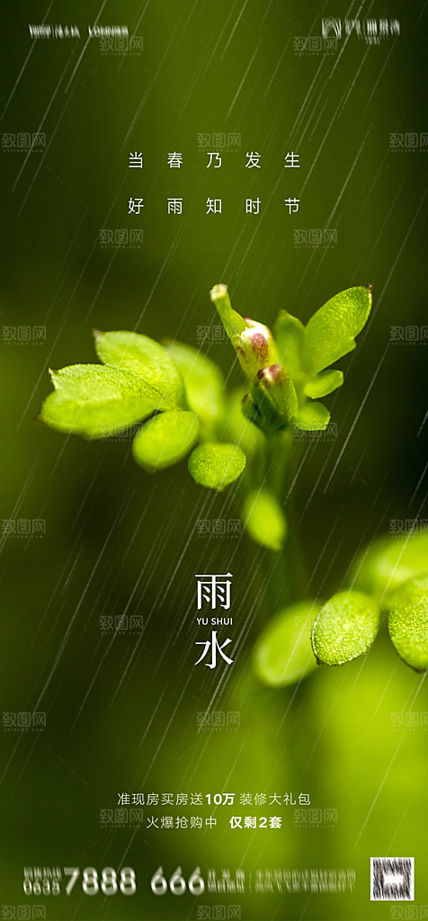 地产二十四节气雨水简约大气海报