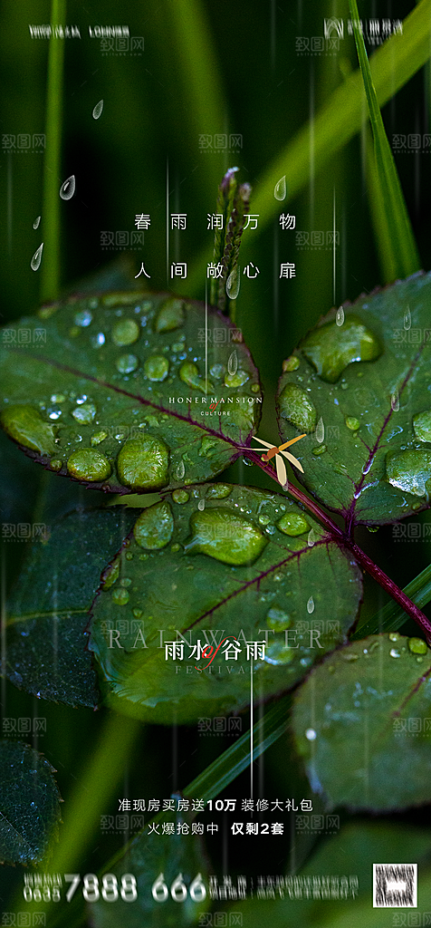 地产二十四节气雨水简约大气海报
