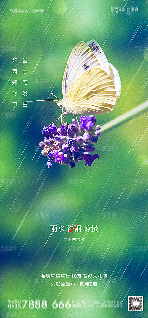 地产二十四节气雨水简约大气海报
