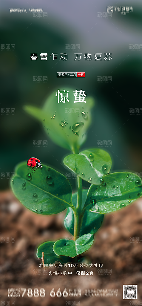 地产二十四节气惊蛰简约大气海报