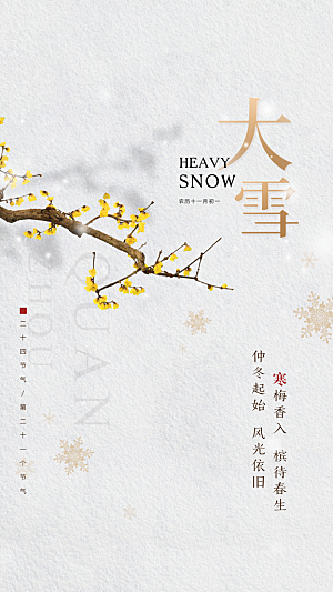 中国传统节大雪简约素雅手机海报