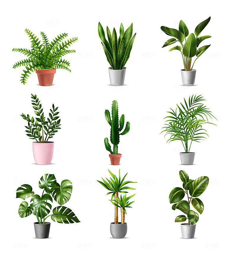 绿色盆栽绿植矢量元素