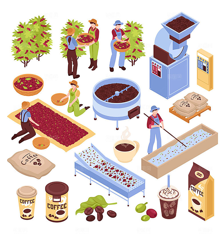 咖啡豆采摘制作烘干立体插画元素