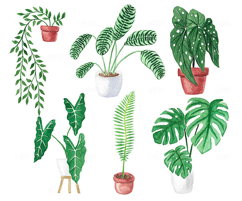 盆栽绿植矢量卡通元素