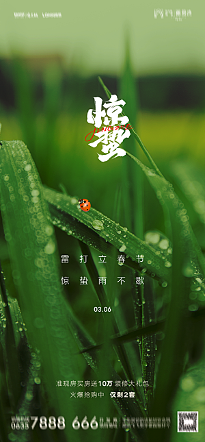 地产二十四节气惊蛰简约大气海报