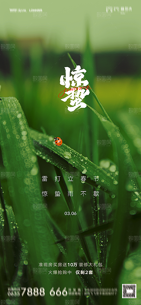 地产二十四节气惊蛰简约大气海报