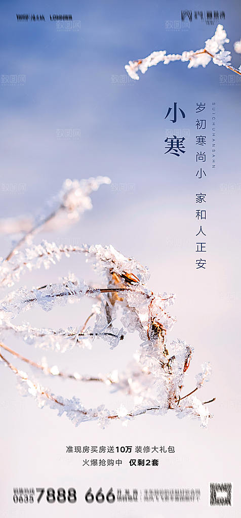 地产二十四节气小寒大寒简约海报