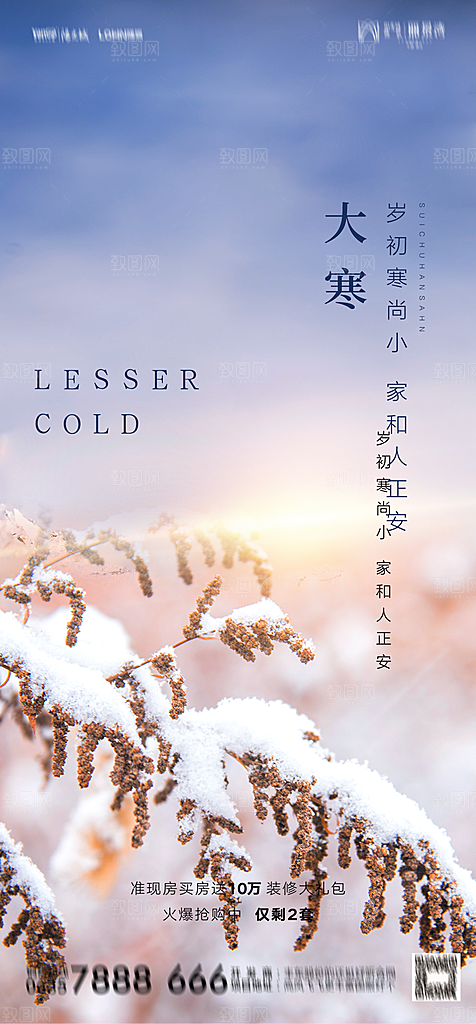 地产二十四节气小寒大寒简约海报