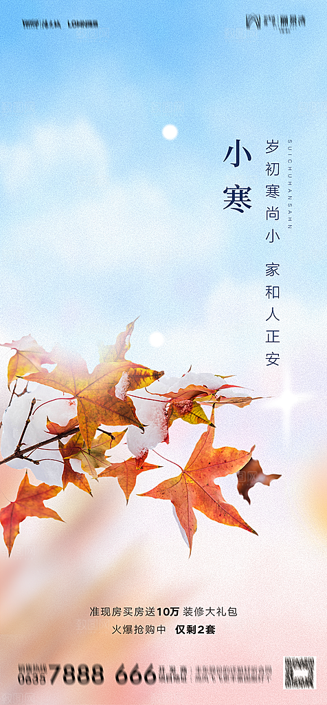 地产二十四节气小寒大寒简约海报