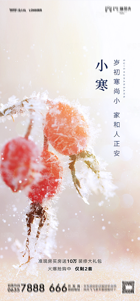 地产二十四节气小寒大寒简约海报