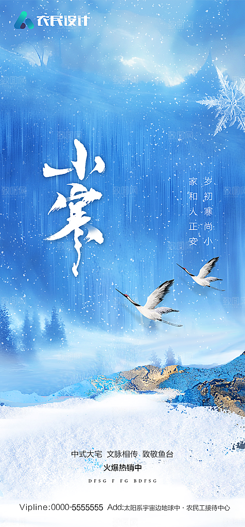 地产二十四节气小寒大寒简约海报