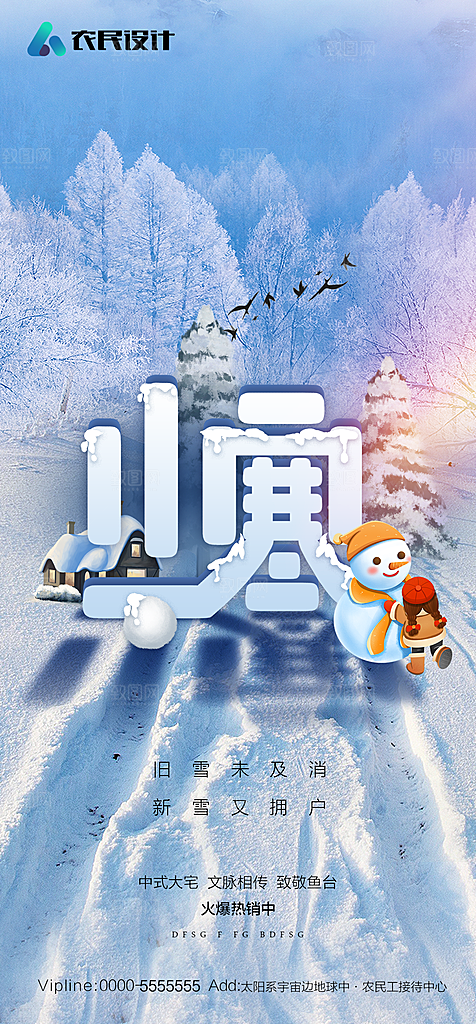 地产二十四节气小寒大寒简约海报