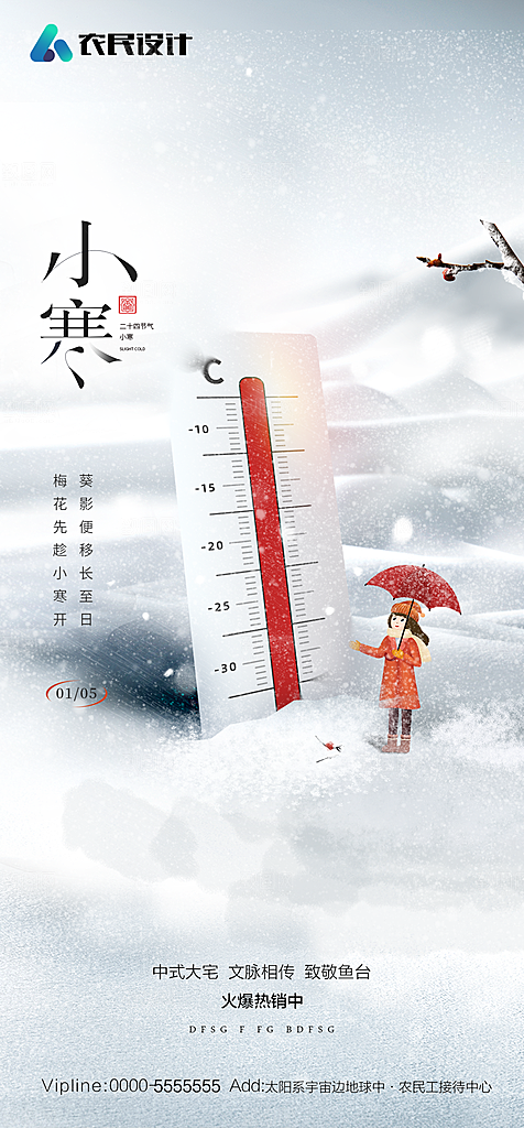 地产二十四节气小寒大寒简约海报