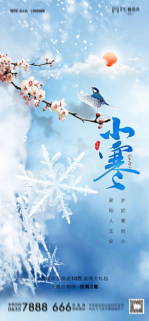 地产二十四节气小寒大寒简约海报