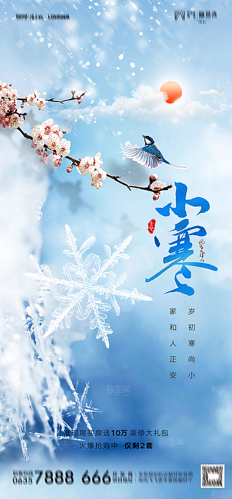 地产二十四节气小寒大寒简约海报