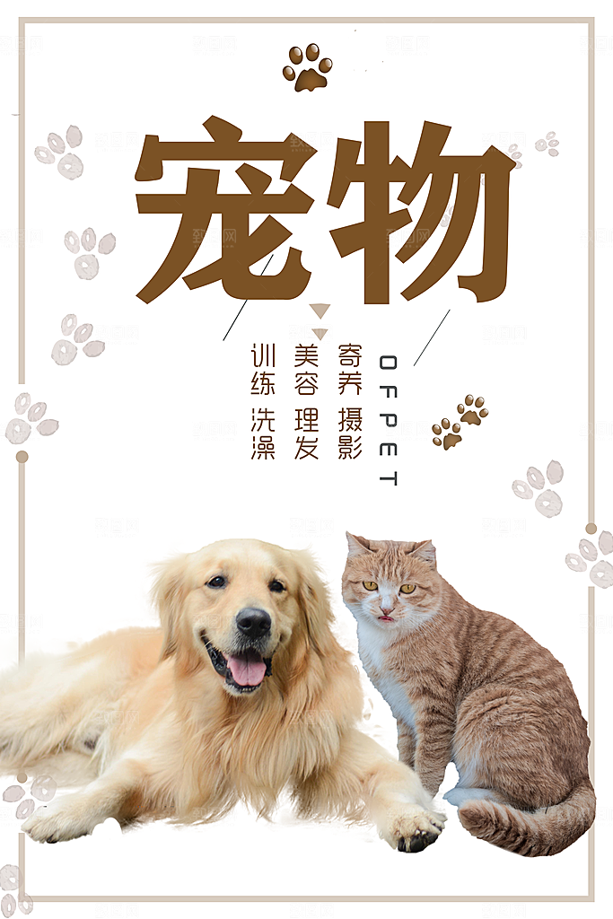 宠物海报宠物店铺医院宣传海报展板