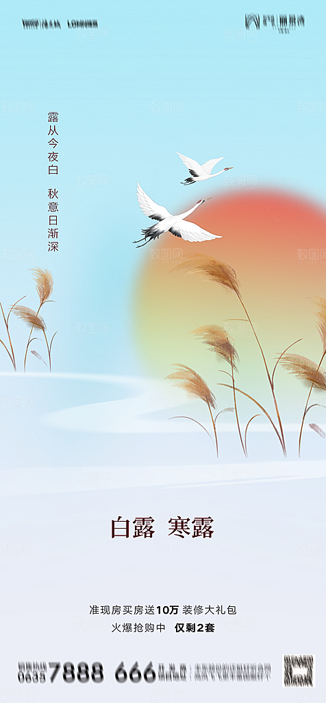 地产白露寒露简约大气海报