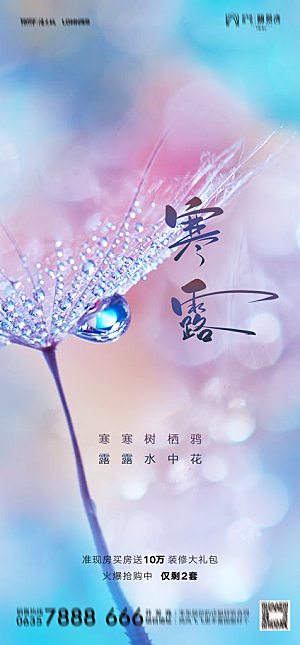 地产白露寒露简约大气海报