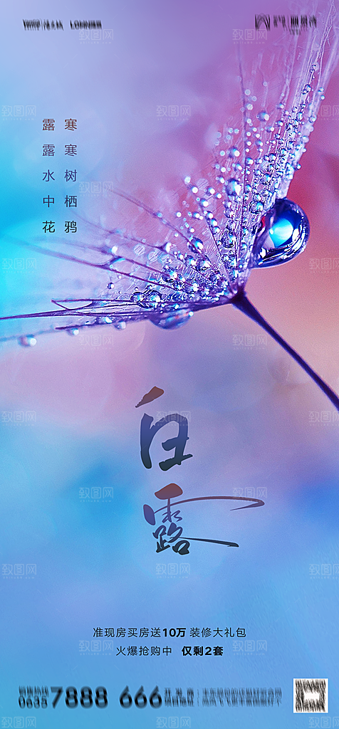 地产白露寒露简约大气海报